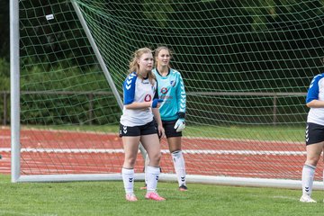 Bild 301 - wBJ VfL Pinneberg - Germania Schnelsen : Ergebnis: 15:1